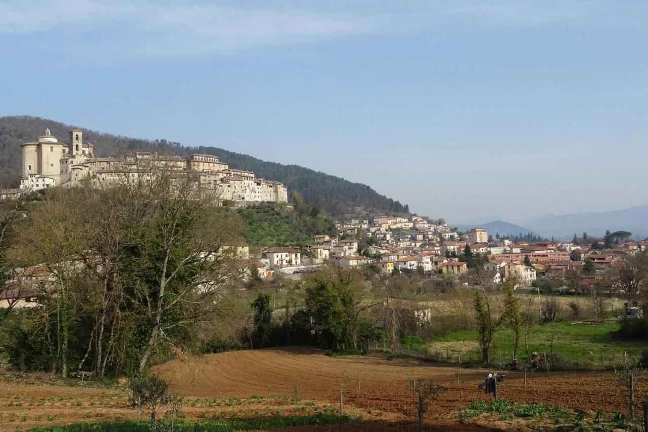 la bottega del fabbro affitto breve Villa Contigliano Eksteriør billede