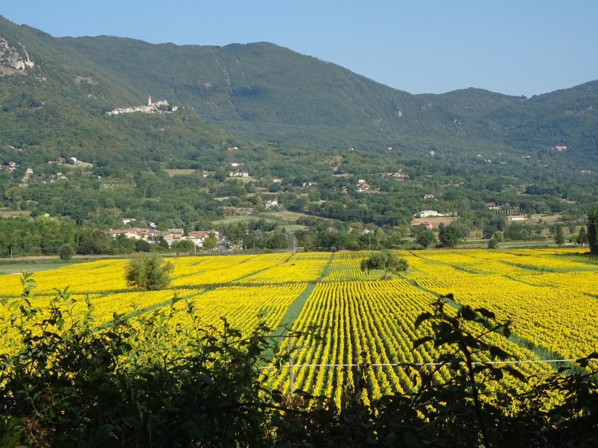 la bottega del fabbro affitto breve Villa Contigliano Eksteriør billede