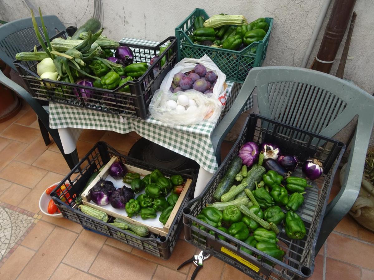 la bottega del fabbro affitto breve Villa Contigliano Eksteriør billede
