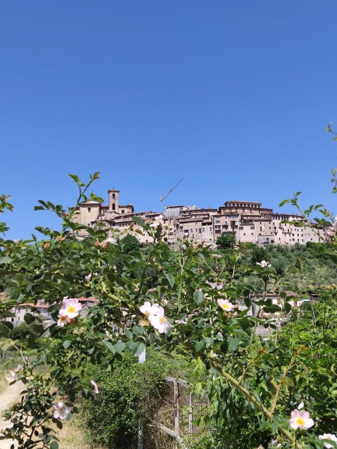 la bottega del fabbro affitto breve Villa Contigliano Eksteriør billede
